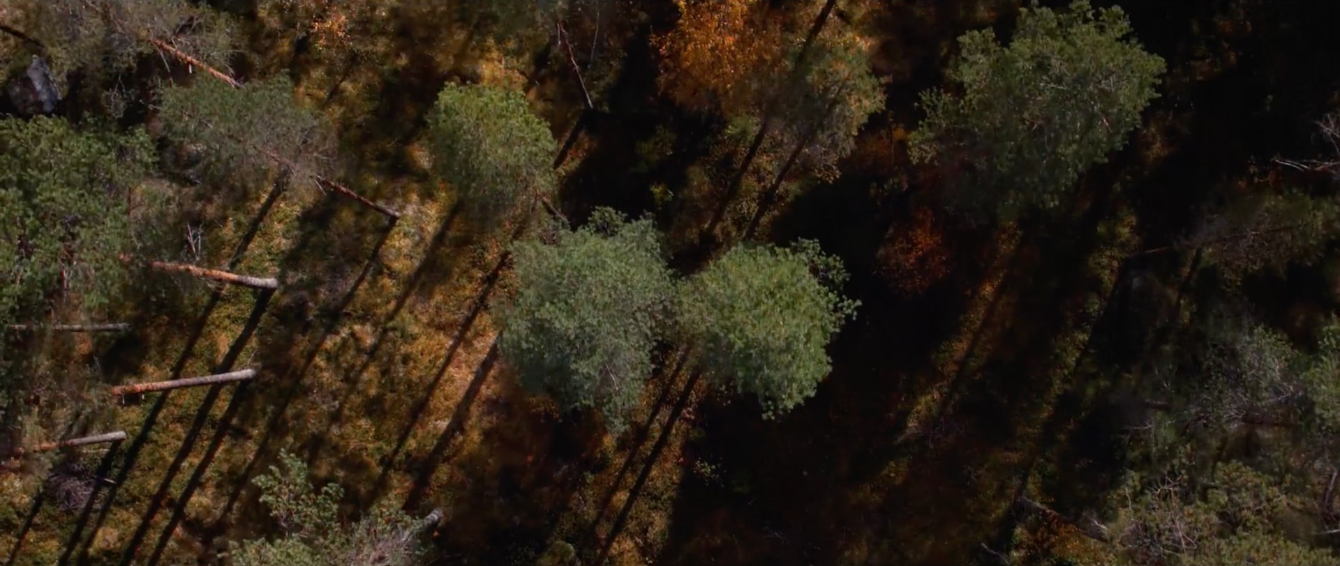 Lapland / Location production still